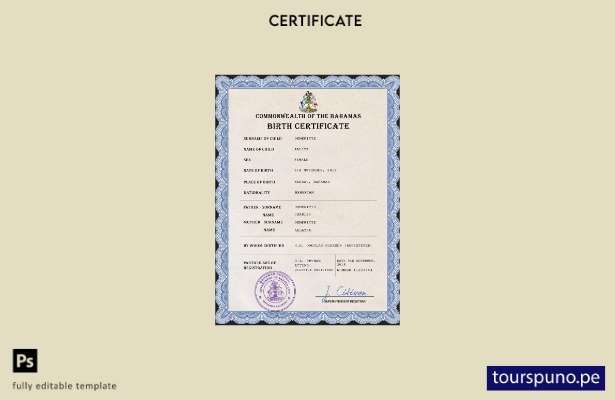 listo para imprimir plantilla PSD de certificado de nacimiento de registro vit 2